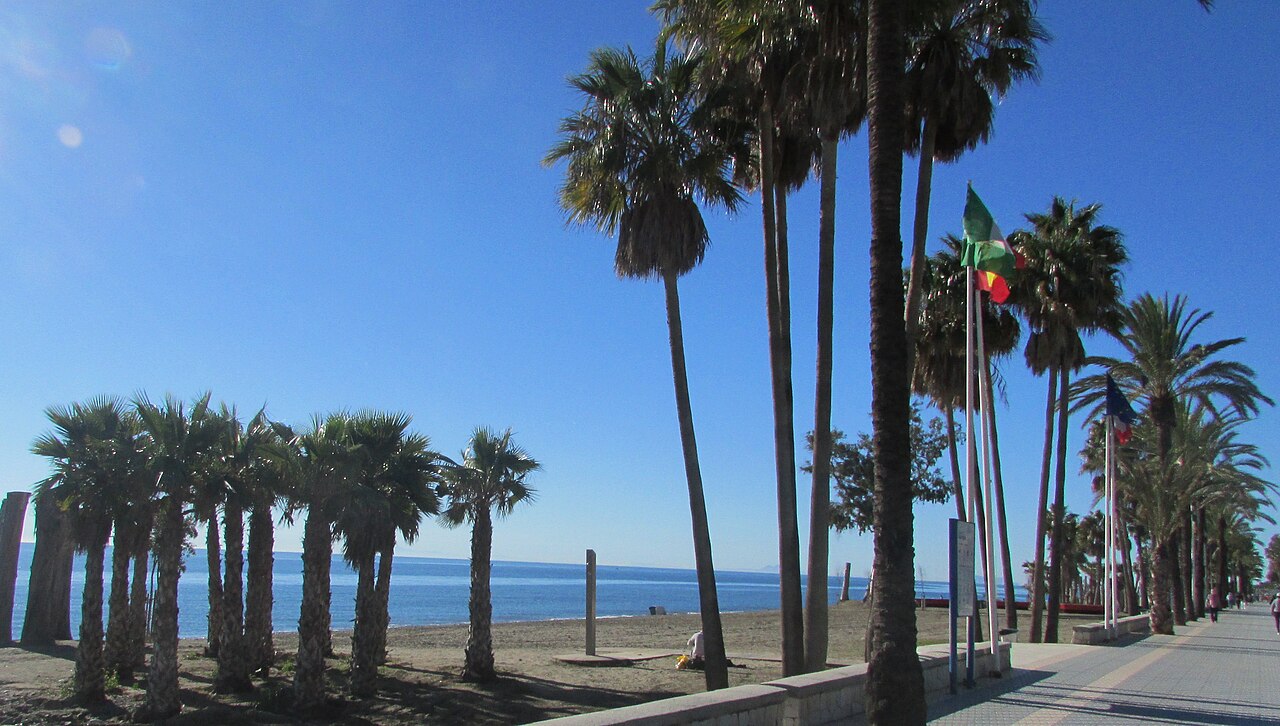 Palm-lined seafront promenade in San Pedro de Alcántara